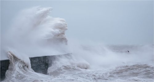 Angel-Of-The-Sea Nicola-Hammond