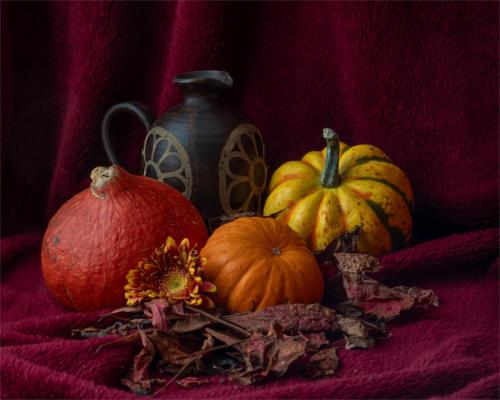 Autumn Caroline-Broom