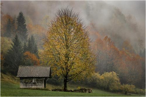 Misly-Autumn-Day Carrie-Davidson