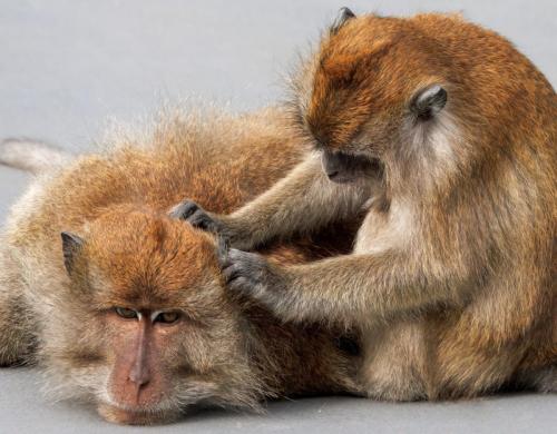 That-Feels-Good Kay-Taylor