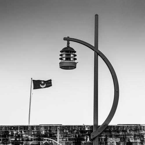 Bowing-to-the-Flag Ron-DeAth