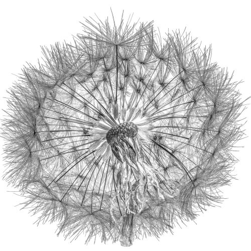 Ephemeral-Orb Eric-Clark