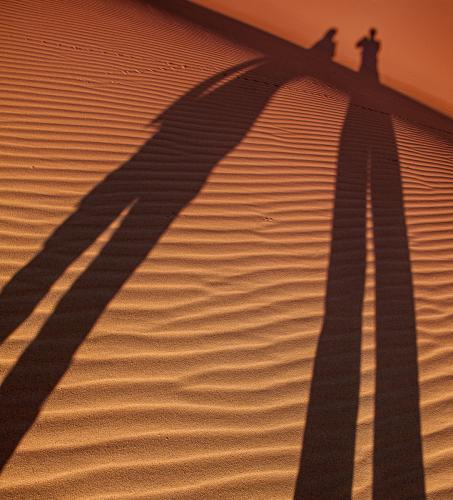 Long-Shadows-on-the-Dunes Dave-Young
