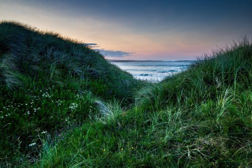 Sea-Glimpse Carrie-Davidson