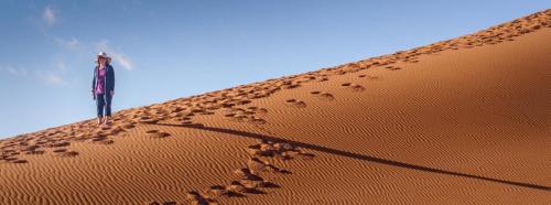 Sossusvlei-Dune-Shadows-2 Dave-Young