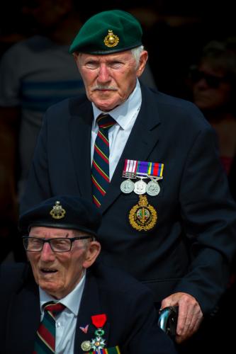 Brothers-in-Arms Robert-Whitaker