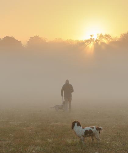Walking-the-dogs Ginny-Beacham