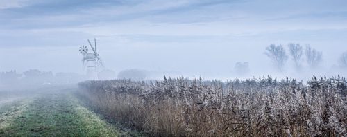 Norfolk-Morning Gordon-Gentles