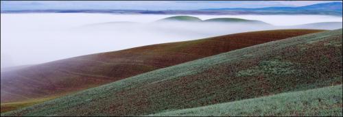 Palouse Contours Jean Brooks