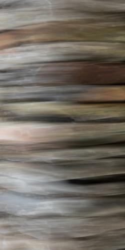 The-Edge Nick-Johnson