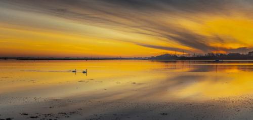 Daybreak-At-Langstone Ron-DeAth