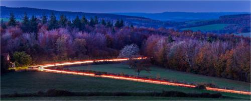 Forest-Trails Carrie-Davidson