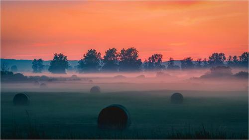 Morning mist, Wiltshire - Erich.Poole