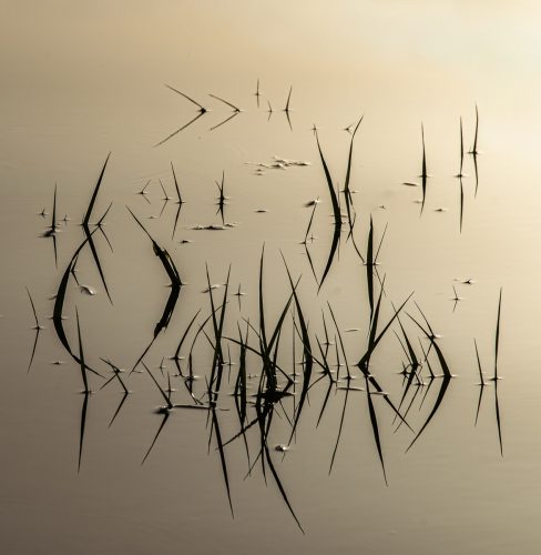 Still-Light Ron De'ath