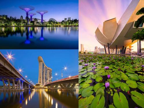 Singapore views Erich Poole